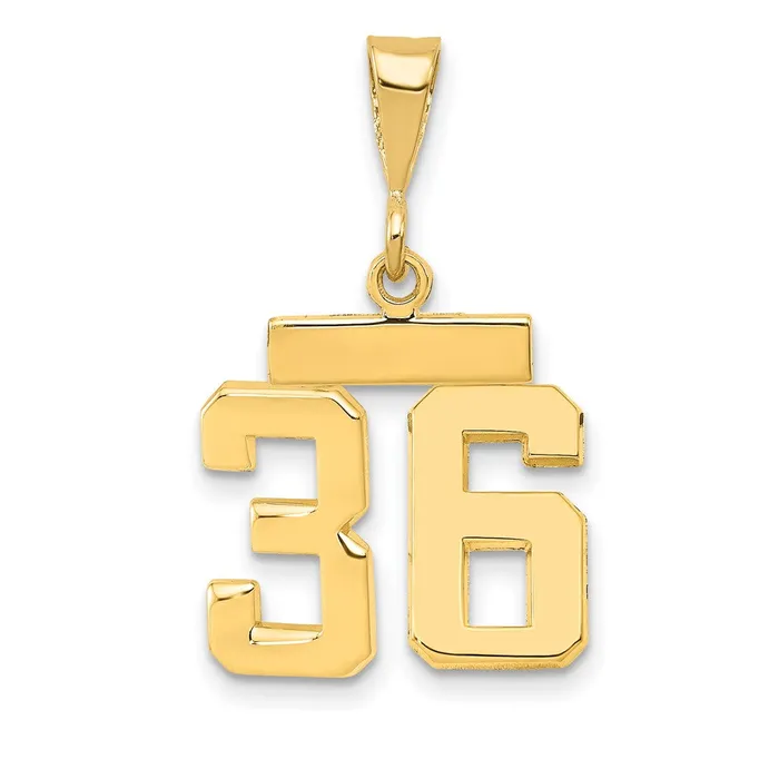 Goldia Charm Necklaces 14k Yellow Gold Small Polished Number 36 Charm