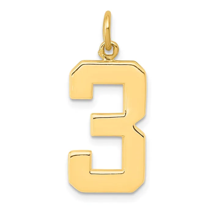 14k Large Polished Number 3 Charm TreasureFineJewelers Charm Necklaces