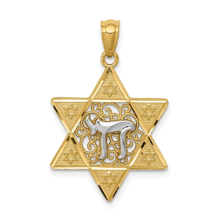TreasureFineJewelers Necklaces 14k Twotone Gold Polished Star of David wChai Pendant TreasureFineJewelers Necklaces 14k Twotone Gold Polished Star of David wChai Pendant
