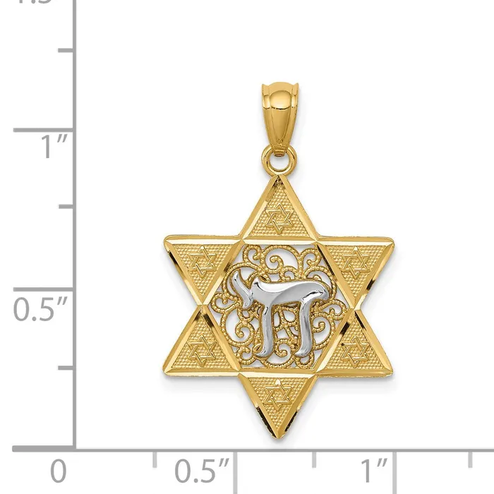 TreasureFineJewelers Necklaces 14k Twotone Gold Polished Star of David wChai Pendant
