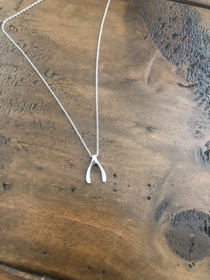 bubs sass tiny wishbone pendant necklace Necklaces