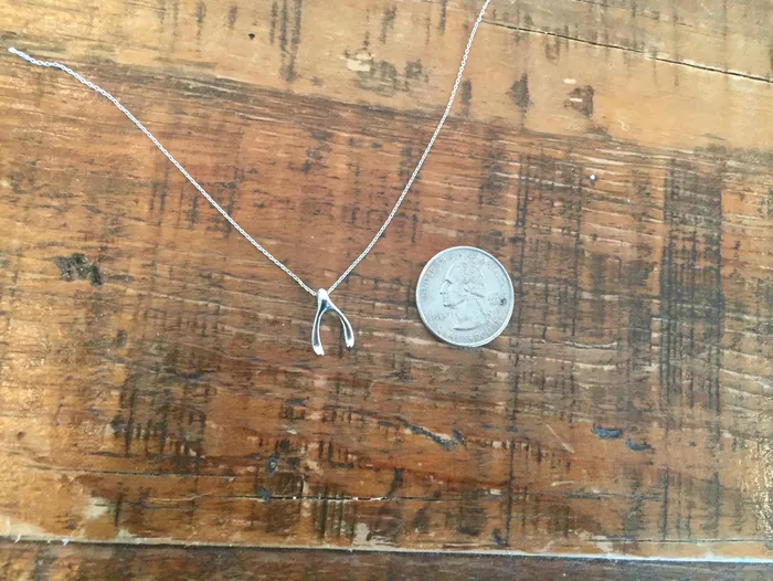 bubs sass tiny wishbone pendant necklace Necklaces