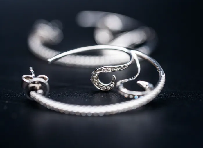 Wilkerson Earrings 18k White Gold Diamond Hoop Earrings
