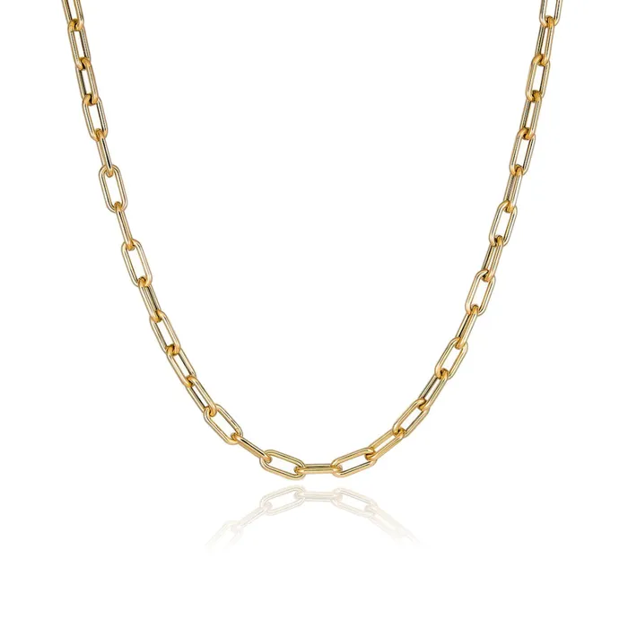 Alev Jewelry Small Rounded Paperclip Chain Necklace Necklaces
