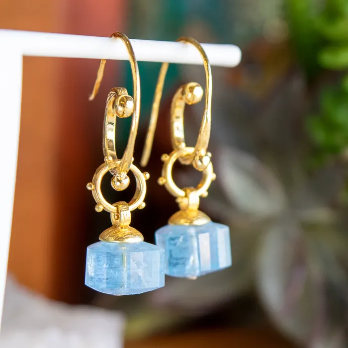 Elisa Ilana Earrings 22KT Interchangeable Earrings